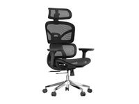 Xtech Executive Chairs XTF-OC415