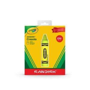 SanDisk USB flash drive - Electric Lime 256GB SDCZIC