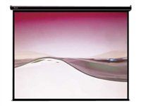 Klip Xtreme KPS-304 - Projection screen - ceiling mountable, wall mountable - 120" (305